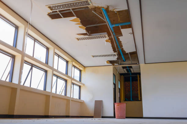 Best Sewage cleanup and water damage restoration  in , ID