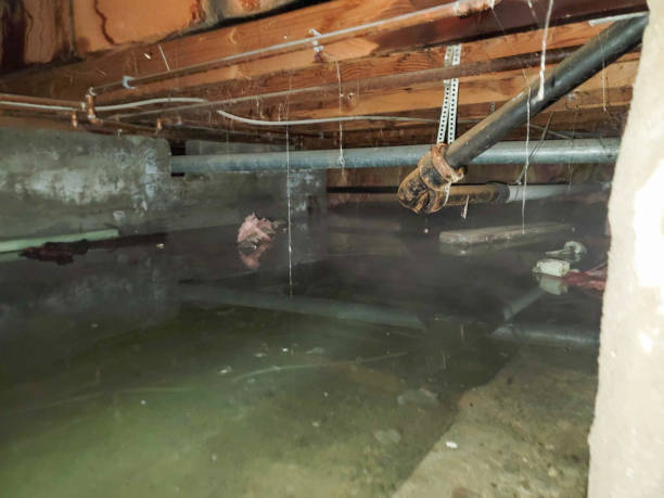 Best Flooded house restoration  in , ID