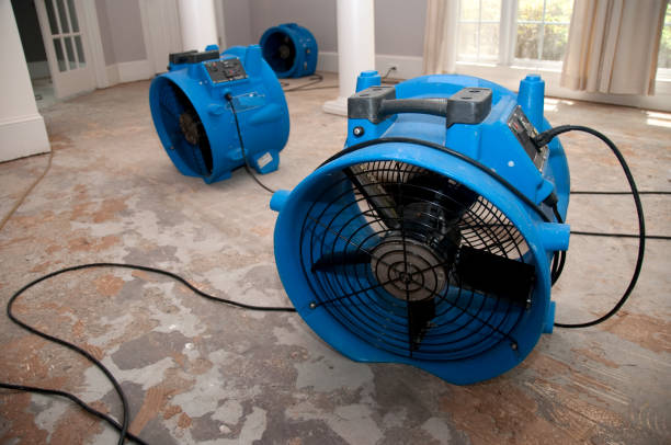 Best Flood restoration services  in , ID
