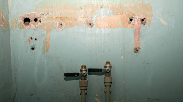 Best 24-hour water damage restoration  in , ID