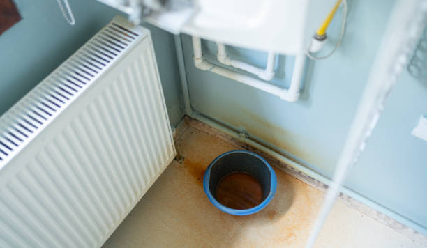 Best Water damage contractors near me  in , ID