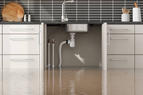 Best Flood damage cleanup  in , ID