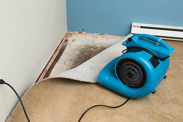 Best Water damage restoration experts  in , ID